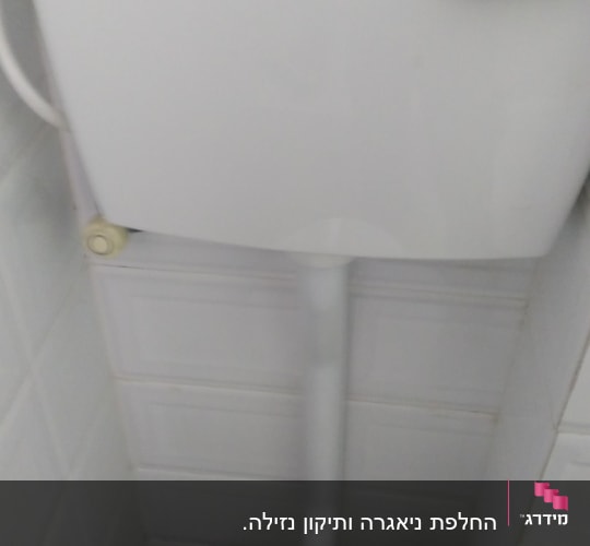 ניאגרה לבנה עם ידית הדחה אפורה